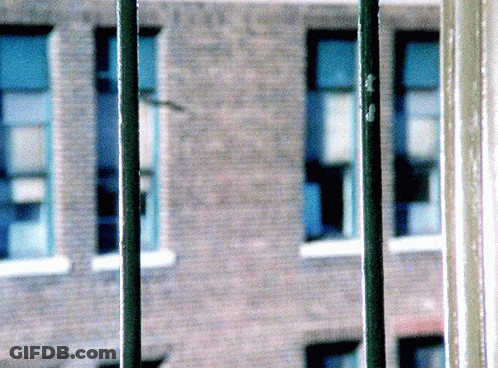 Blurry Brick Building With Blue Windows And Green Pole GIF