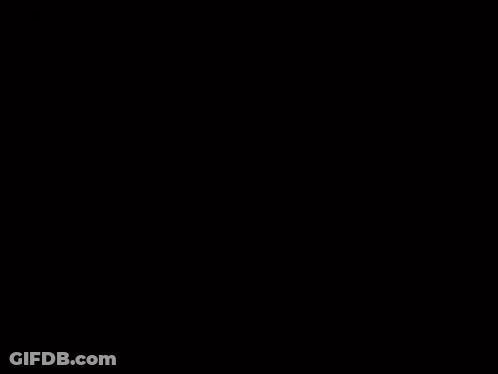 Blurry Cat Face In Blue Light GIF