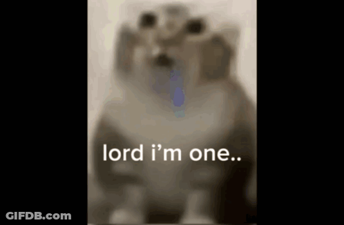 Blurry Cat Lord I'm One GIF