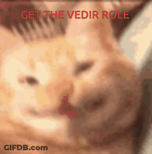 Blurry Cat Saying Get The Vedir Role GIF