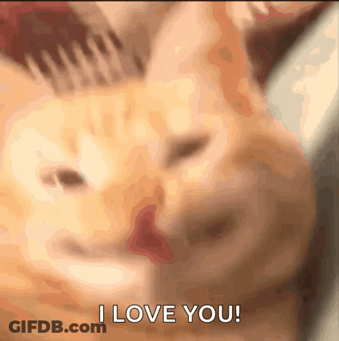 Blurry Cat Saying I Love You GIF