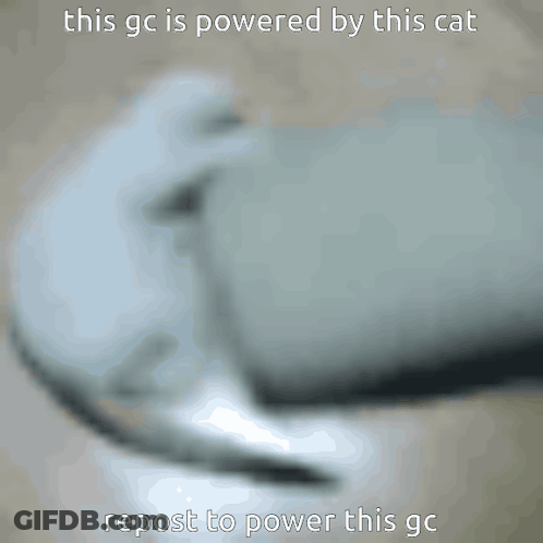 Blurry Cat This GC Is Powered By This Cat GIF