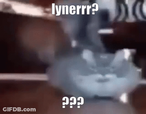 Blurry Cat With Lynerrr GIF