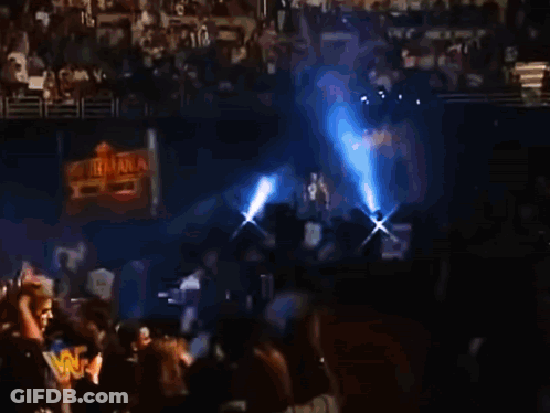 Blurry Crowd At Wrestling Event GIF