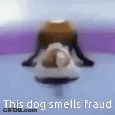 Blurry Dog This Dog Smells Fraud GIF