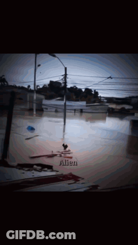 Blurry Flooded Street With Name Allen GIF