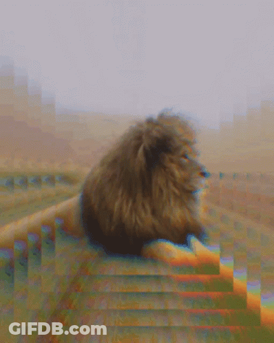 Blurry Lion Laying On Fence GIF