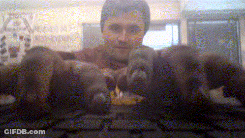Blurry Man Holding Bunch Of Animals GIF