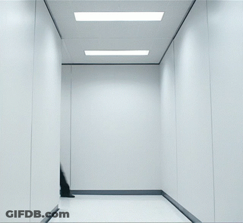 Blurry Man In White Shirt And Tie GIF
