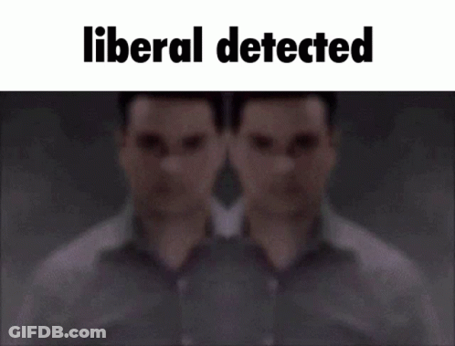 Blurry Man Liberal Detected GIF