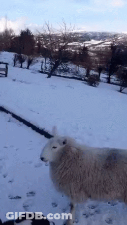 Blurry Man's Back GIF