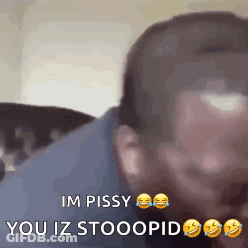 Blurry Man Saying Im Pissy You Iz Stooopid GIF