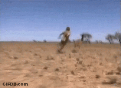 Blurry Man Walking Through Desert GIF