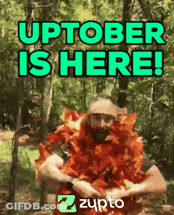 Blurry Man With Mustache And TVGO Logo GIF