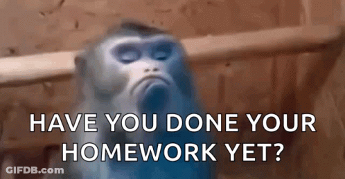 Blurry Monkey Have You Done Your Homework Yet GIF