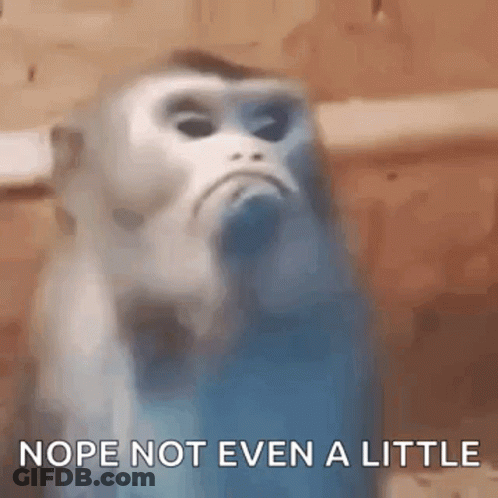 Blurry Monkey Saying Nope Not Even A Little GIF