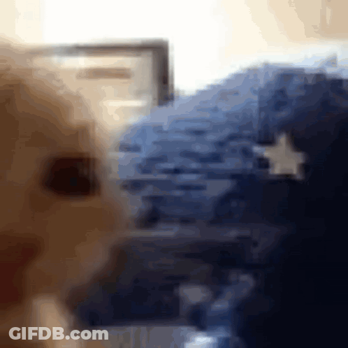 Blurry Person Face With Star Background GIF