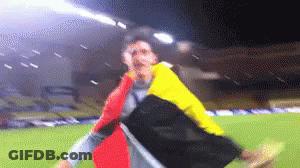 Blurry Person Holding Flag On Soccer Field GIF