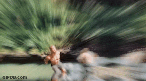 Blurry Person Holding Plant GIF