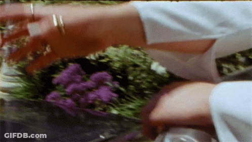 Blurry Person Holding Purple Flowers GIF