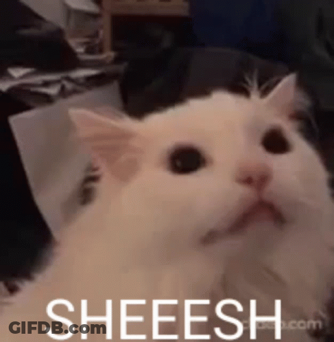 Blurry Person Imgflip GIF