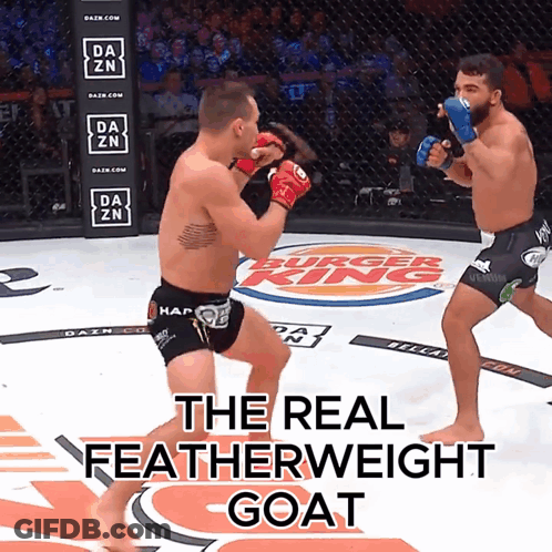 Blurry Person In Front Of BT Logo GIF