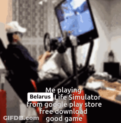 Blurry Person Playing Belarus Life Simulator GIF