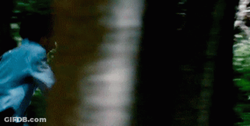 Blurry Person Running Through Forest GIF