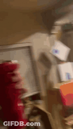 Blurry Person Standing In Front Of Fridge GIF