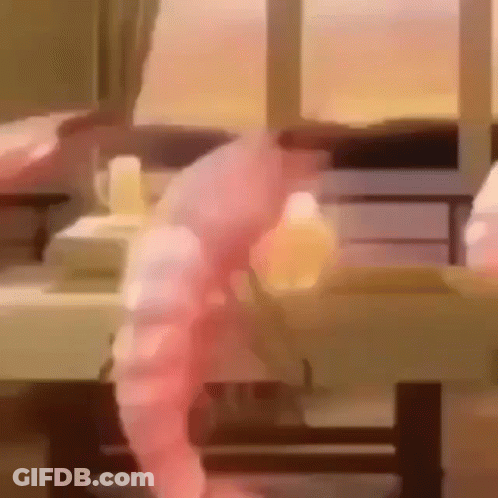 Blurry Person Standing In Front Of Window GIF