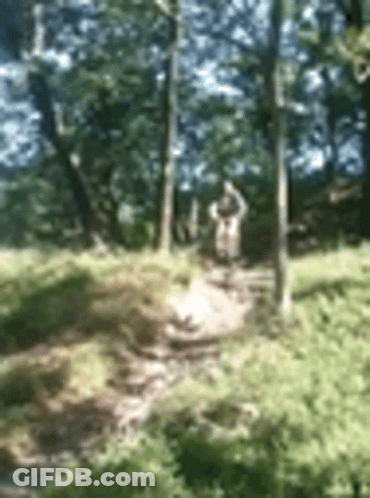 Blurry Person Standing In Woods GIF