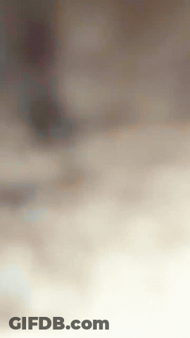Blurry Person Walking On Beach GIF