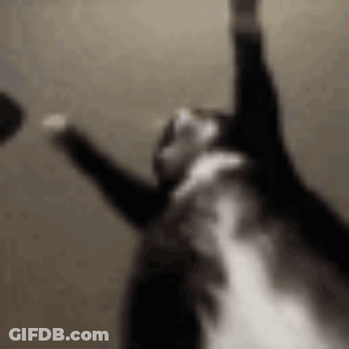 Blurry Person With Arms Up GIF