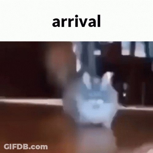 Blurry Person With Arrival GIF