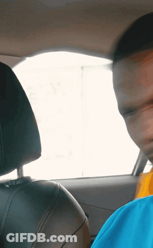 Blurry Photo Of Man In Car GIF