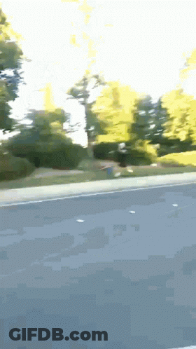 Blurry Road With Trees GIF