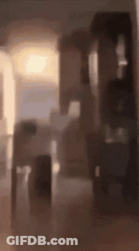 Blurry Room With Light Through Doorway GIF