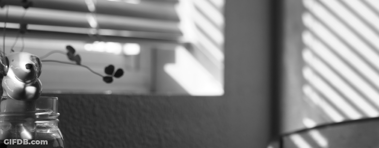 Blurry Small Plant Zoom GIF