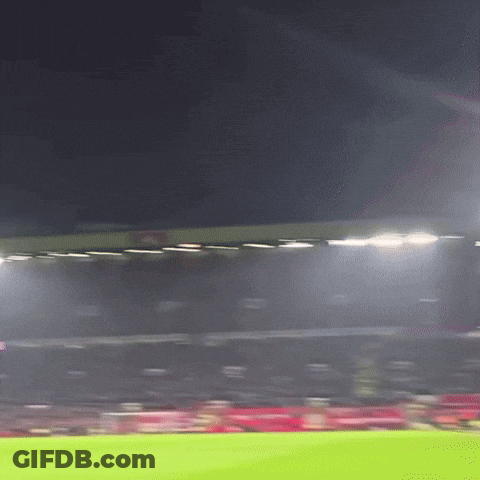 Blurry Soccer Field With Lights GIF