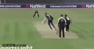 Blurry Soccer Field With Sportslight GIF