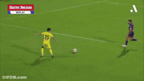 Blurry Soccer Game Harvey Norman Replay GIF