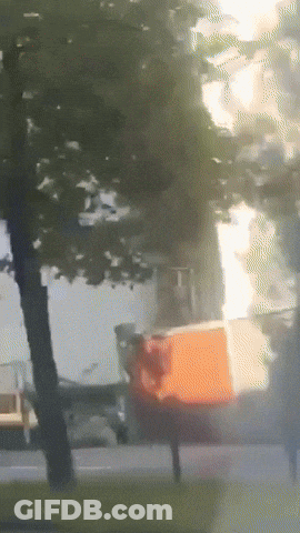 Blurry Street With Trees And Cars GIF