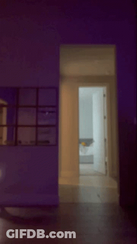 Blurry Two People Dancing Purple Lights GIF