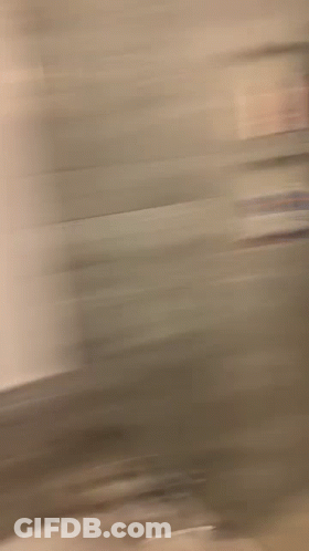 Blurry Window With Sun Shining Through GIF