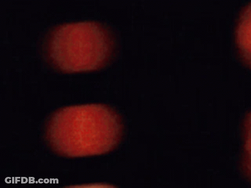 Blurry Woman Face With Blurry Background GIF