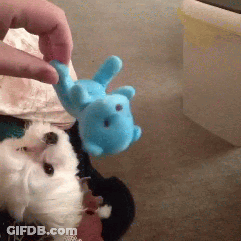 Blurry Woman Standing With Back To Camera GIF