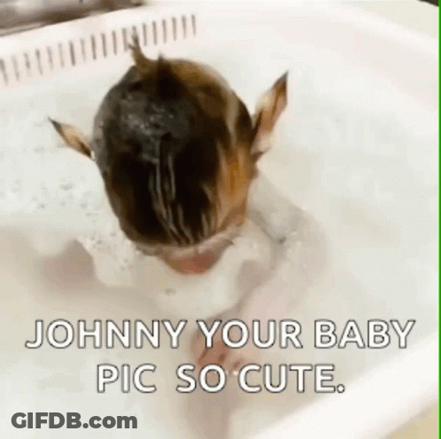Blurry Woman With Bandage On Nose GIF