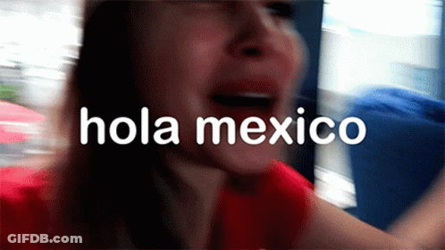 Blurry Woman With Hola Mexico GIF
