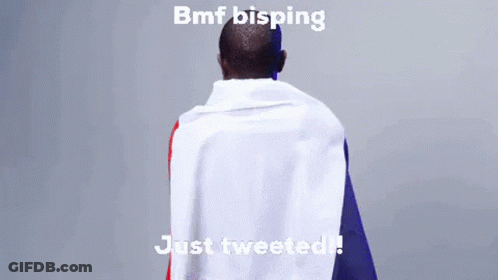 Bmf Bisping Ufc Mma Kante GIF