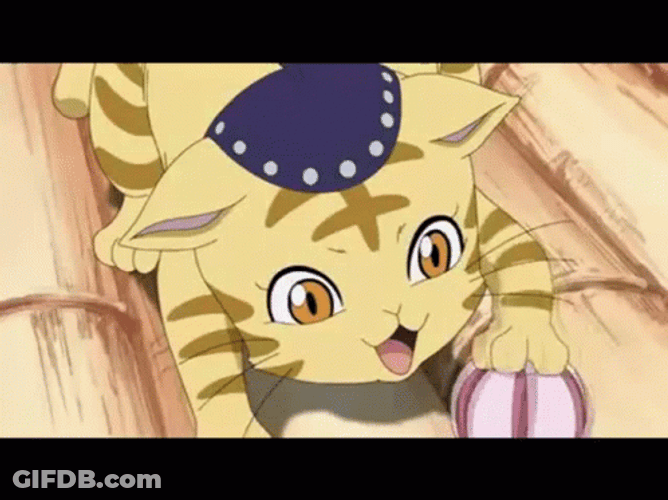 Boa Hancock Pirate Captain Kick Cat GIF